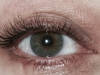 fullsizerender_4